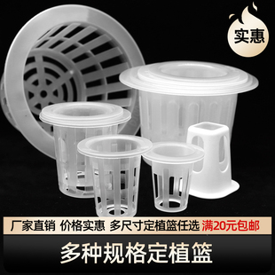 水培定植篮植物园艺无土栽培种植杯蔬菜瓜果固根器玻璃花瓶种花篮