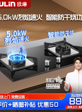 欧琳新型防干烧灶熄火自动保护燃气灶大面板灶具家用煤气灶E3001B