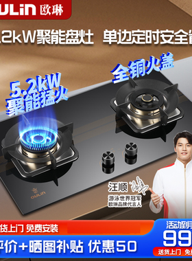 欧琳5.2KW猛火燃气灶定时功能底盘可调节灶具免扩孔双眼灶E3505B