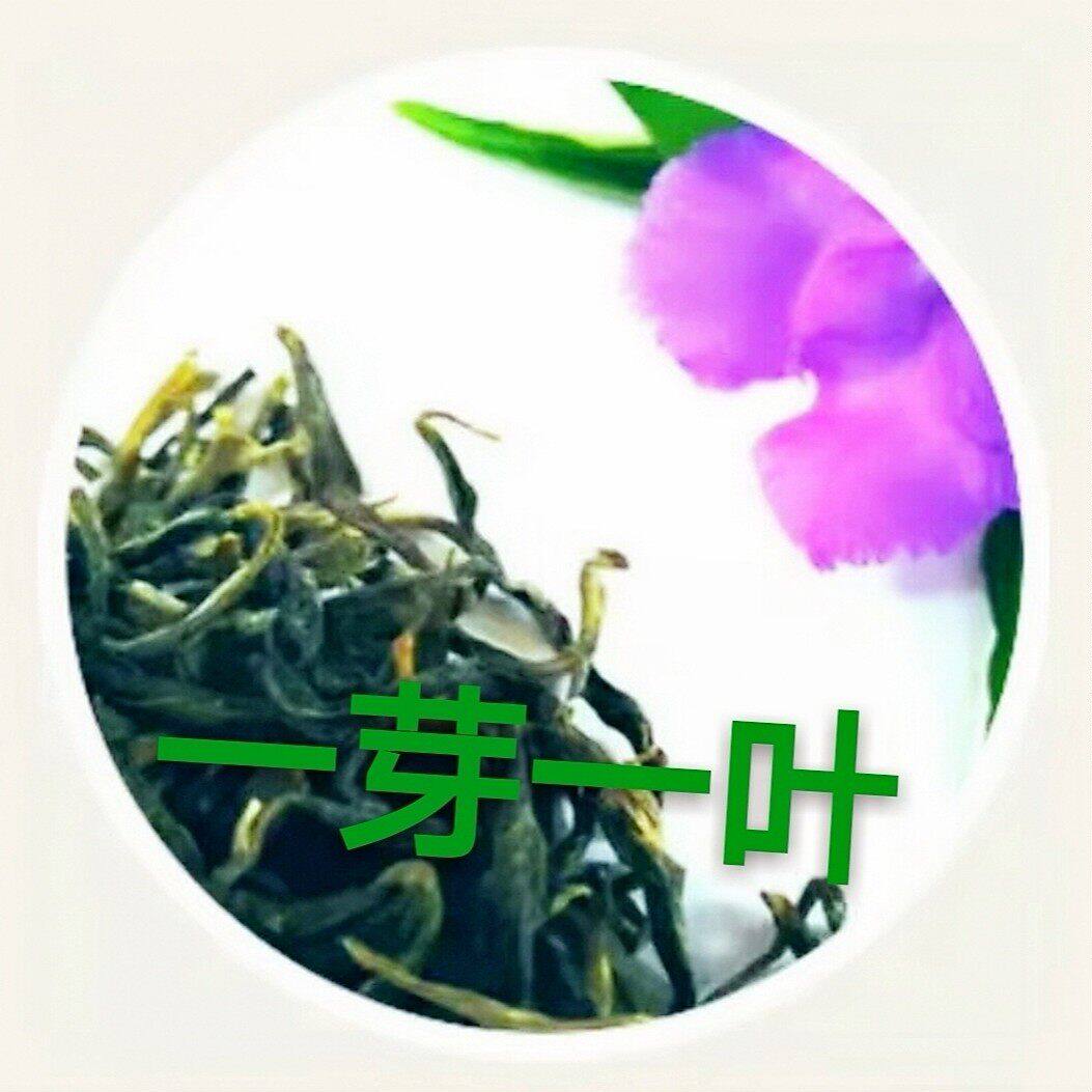 云南茶叶绿茶2026年新茶烘青茶一芽一叶茶叶滇绿特级袋装500g直销