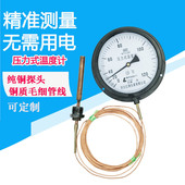 指针式 测油开水液体蒸汽锅炉食品温工业表 包邮 WTZ280压力式 温度计