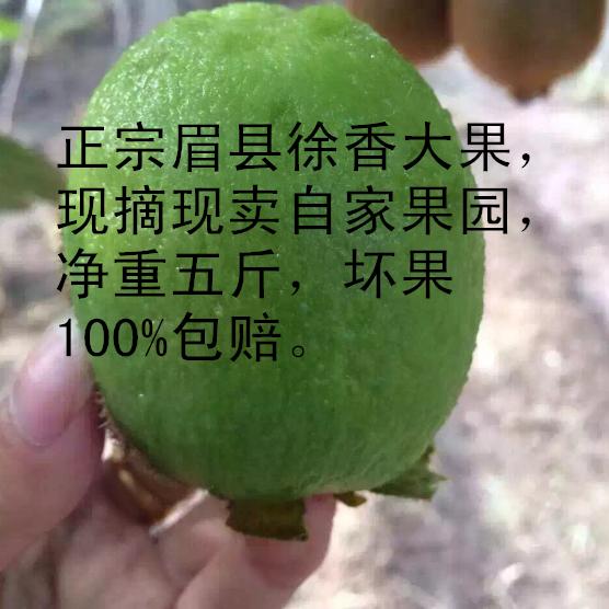 陕西新鲜水果徐香猕猴桃绿心