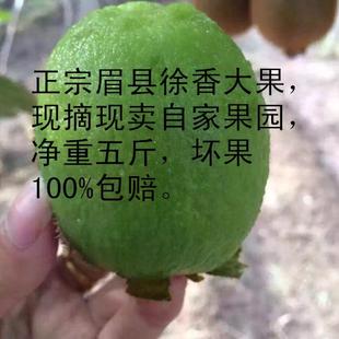 眉县徐香猕猴桃新鲜果陕西弥猴桃2025整箱大奇异果孕妇应季猕猴桃