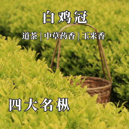 白鸡冠岩茶四大名枞武夷岩茶大红袍铁罗汉水金龟半天腰道茶