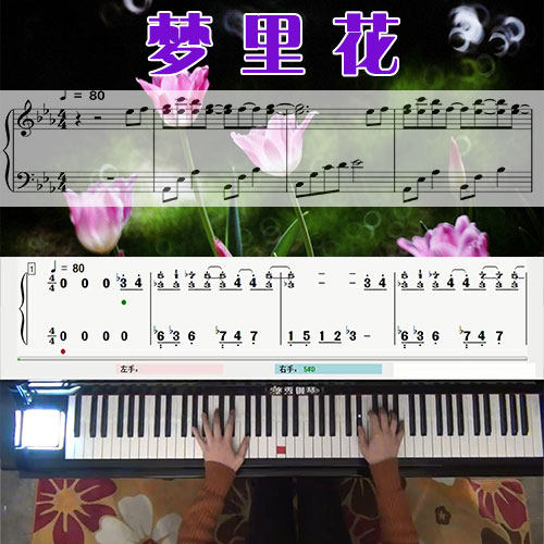 梦里花（张韶涵）_五线谱简谱钢琴教学课程_悠秀钢琴