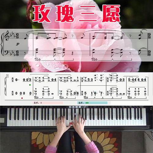 玫瑰三愿 五线谱简谱钢琴教学课程 悠秀