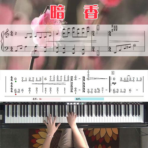 暗香（金粉世家主题曲）钢琴简谱教学课程