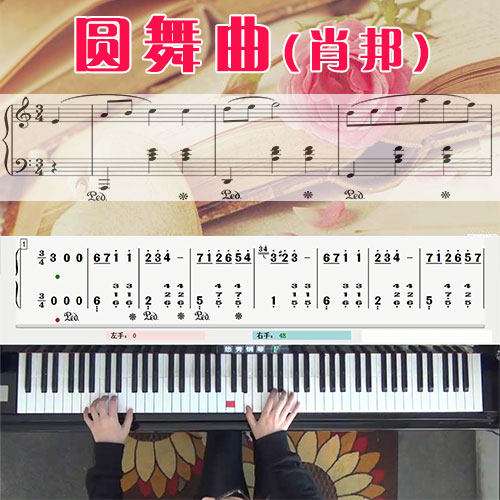 圆舞曲(肖邦)五线谱简谱钢琴教学课程 悠秀