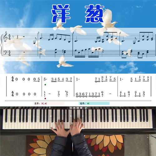 洋葱(杨宗纬)五线谱简谱钢琴教学课程 悠秀