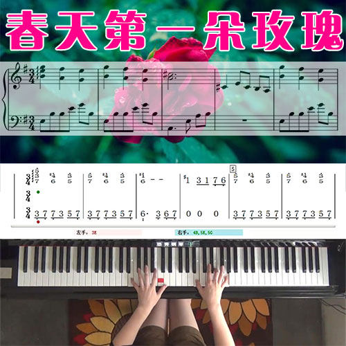 春天第一朵玫瑰(班得瑞)五线谱简谱钢琴教学课程 悠秀