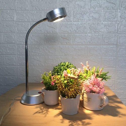 植物花卉台灯价格 植物花卉台灯图片 星期三