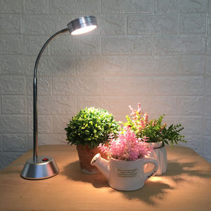 植物花卉台灯价格 植物花卉台灯图片 星期三