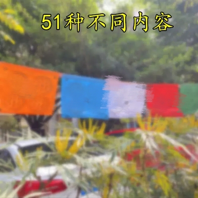 51种不同内容zo轮经番6米20面风马旗藏族隆达五色旗纯棉布面料