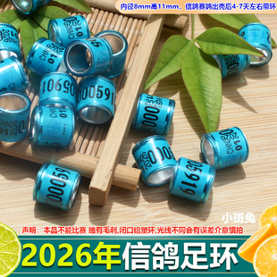 鸽子脚环2026年不带证统一环信鸽足环仿环鸽子环脚圈赛鸽用品用具