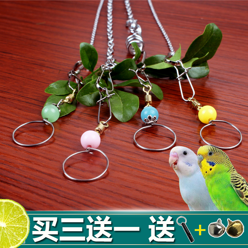 小斑兔不锈钢鹦鹉脖套上新特惠咯