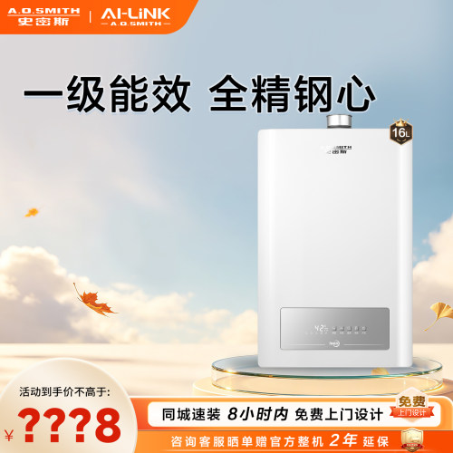 AO史密斯一级能效燃气热水器