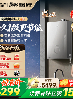 【1级能效新品】AO史密斯佳尼特无冷凝管16L小精钢燃气热水器TJE5