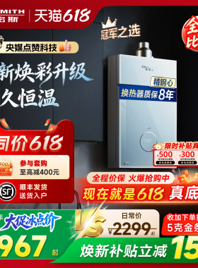 【小精钢TCS5】AO史密斯佳尼特耐用恒温安静燃气热水器TCA1/PC0