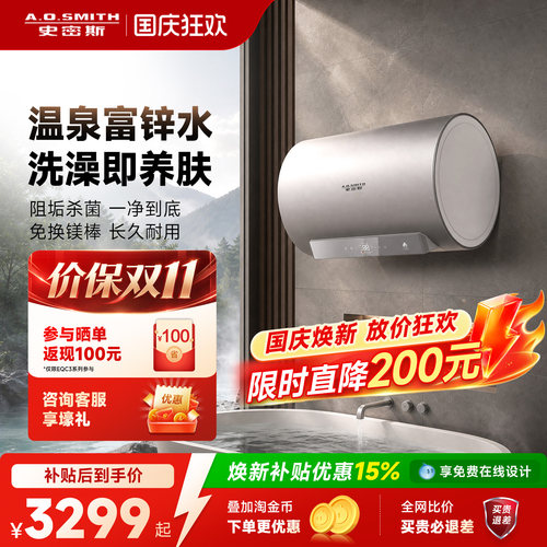 [升级富锌]免换镁棒双胆电热水器