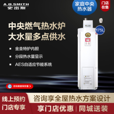 Система горячей воды 【门店在售】ao史密斯175升家用燃气中央热水炉落地炉热水器emgp