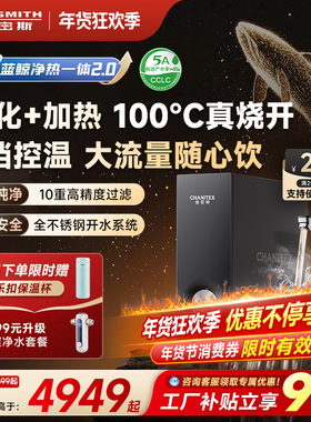 A.O.史密斯佳尼特加热一体家用厨下反渗透蓝鲸RO净水器CDR2000S2