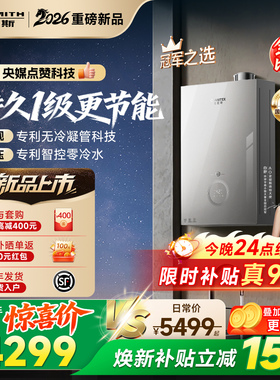【1级能效新品】AO史密斯佳尼特无冷凝管16L小精钢燃气热水器TJE5