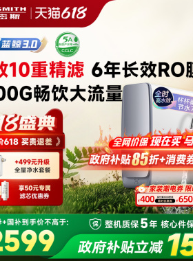 A.O.史密斯佳尼特大流量厨下直饮净水器蓝鲸CR2500AE1