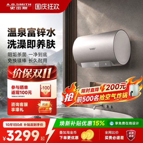 [升级富锌]免换镁棒双胆电热水器