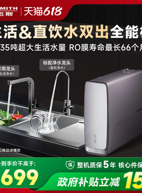 【新品】AO史密斯家用直饮反渗透厨下双出水过滤净水器R1800DWWi