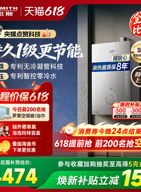【1级能效新品】AO史密斯佳尼特无冷凝管16L小精钢燃气热水器TJE5