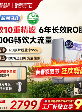 A.O.史密斯佳尼特大流量厨下直饮净水器蓝鲸CR2500AE1