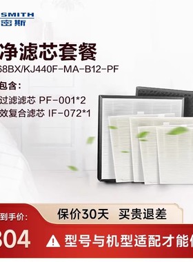 A.O.史密斯空气净化器滤芯套餐一年量 适用EB88/KJ868BX