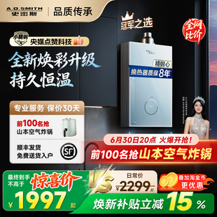 【小精钢TCS5】AO史密斯佳尼特耐用恒温安静燃气热水器TCA1/PC0
