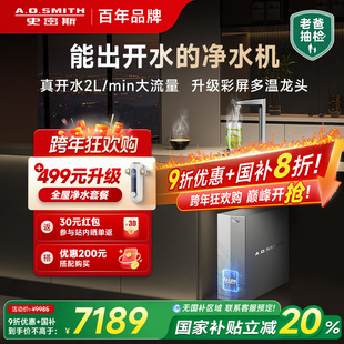 AO史密斯MS家用加热一体厨下直饮净水器DR1600SWI 老爸抽检