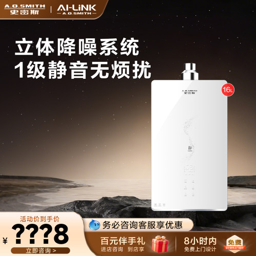 史密斯燃气热水器JSQ31-FJSWi