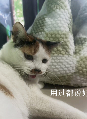 摇粒绒温暖冬季猫窝 鸡屁股猫窝 野田田猫窝抖音同款猫窝被窝猫窝