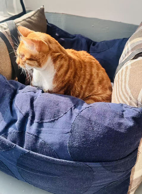 宠物车载猫窝可拆卸保暖便携式车用宠物窝柔暖拉链过年携带狗窝