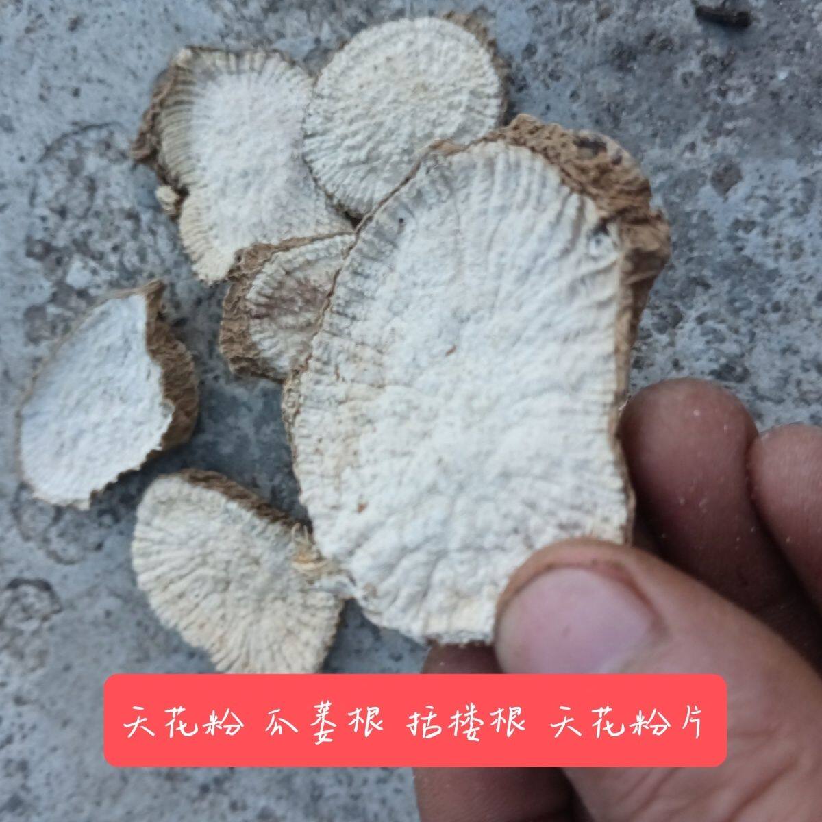 天花粉干货四川天花粉栝楼根瓜蒌根无硫粉性十足自然原色