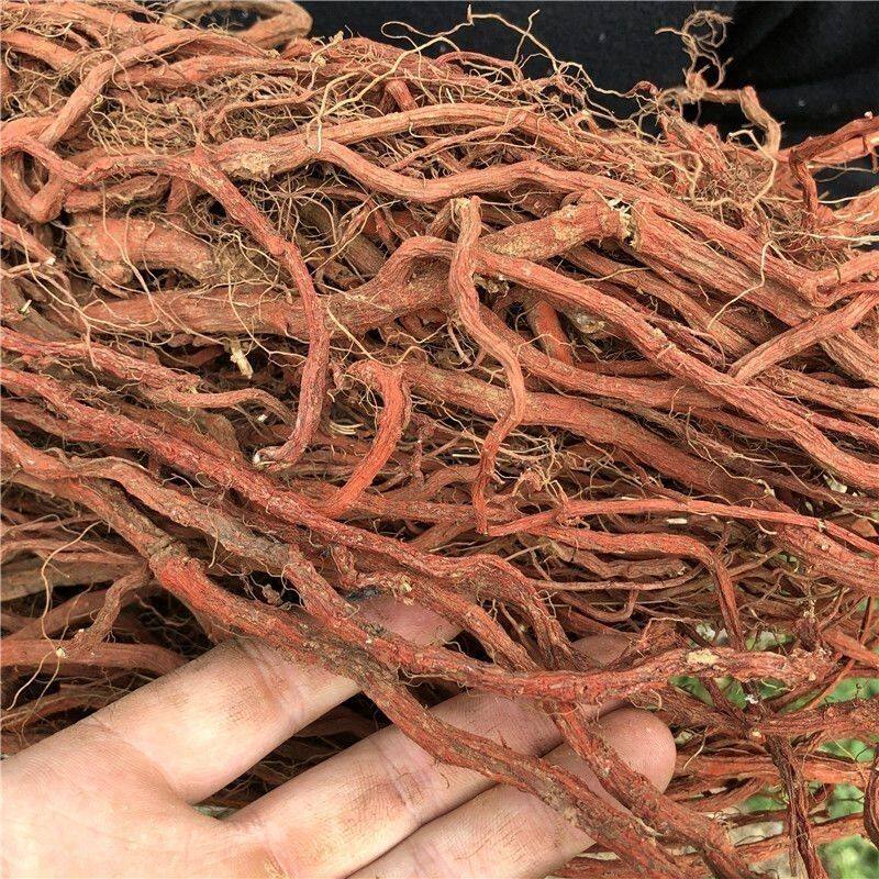 秦岭野生丹参正品紫花丹参整根新货无硫丹参干货泡酒泡茶