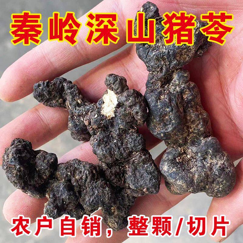 猪苓干货秦岭正宗野生猪苓个子农家自采晒干猪屎苓