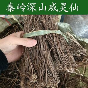 秦岭野生威灵仙正品威灵仙农家自晒干货整株威灵仙百条根老虎须