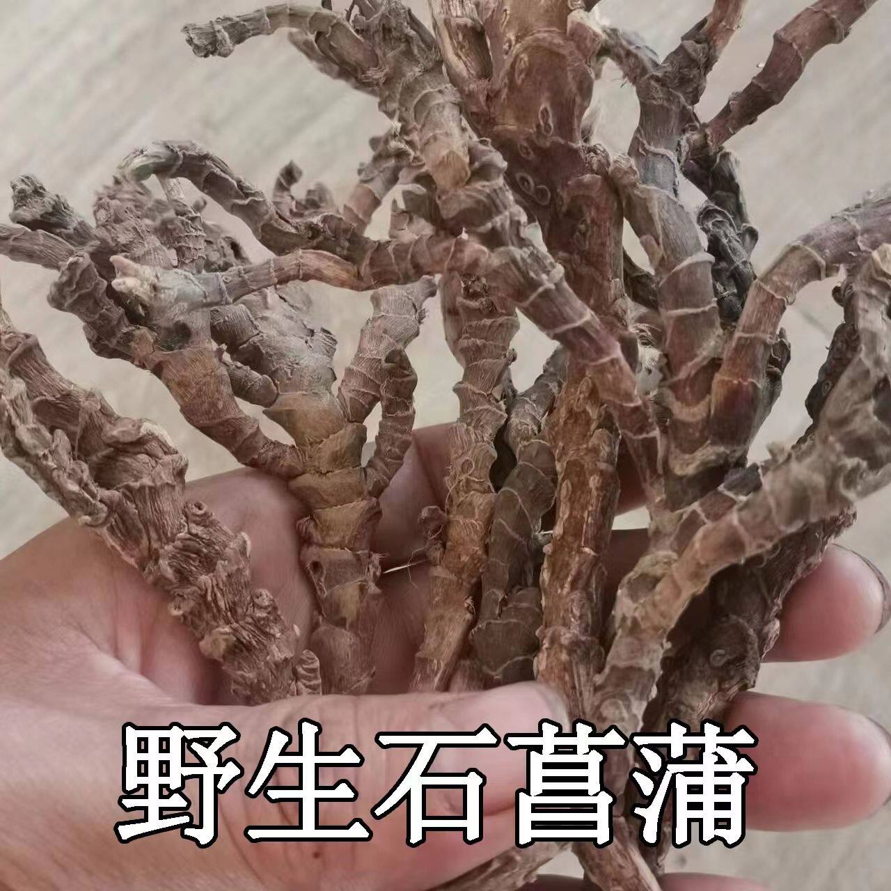 秦岭深山野生石菖蒲石菖卜石山菖蒲石个石菖蒲野生天然新鲜晒干