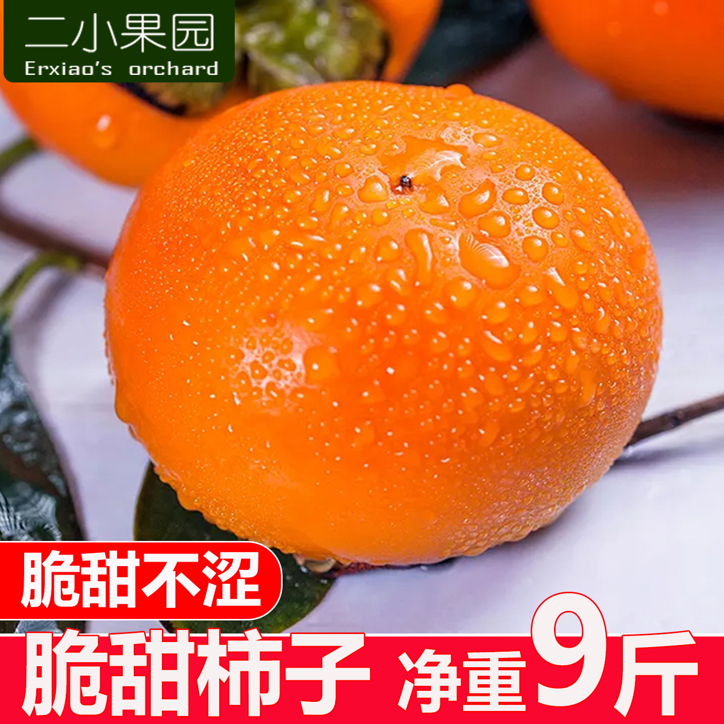 现摘脆甜柿子净重9斤运城