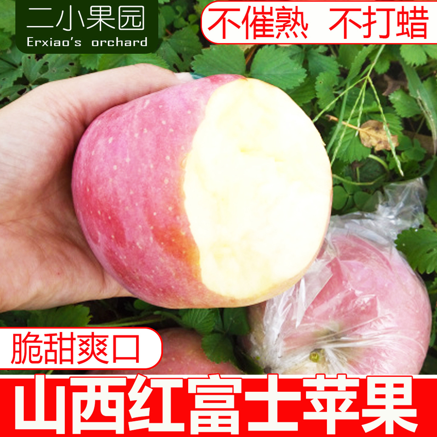 红富士苹果水果冰糖心丑萍平果新鲜山西应当季整箱脆甜,水产肉类/新鲜蔬果/熟食,苹果,淘宝优惠券,粉丝福利购,淘宝优惠卷