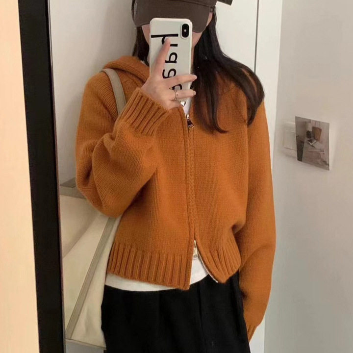韩系双拉链连帽针织开衫女秋冬新款慵懒风设计感软糯宽松毛衣外套