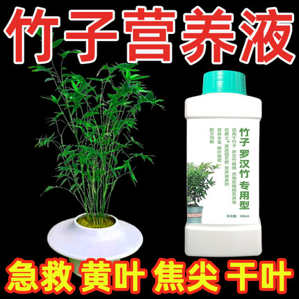 竹子专用营养液内门竹红观音竹佛肚竹罗汉竹水培米竹簕竹黄叶肥料