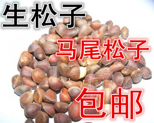 新货产地大兴安岭野生马尾松子坚果偃原味不开口皮薄鼠粮食一斤
