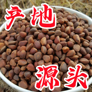 散装大兴安岭野生小堰马尾松子原味不开口坚果零食偃松鼠粮食
