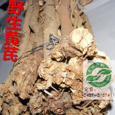 大兴安岭中草药整根野生黄芪药材免费切片北芪自然晾晒500g包邮