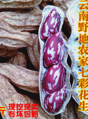 云南新鲜现挖带壳3斤七彩花生